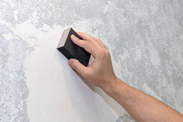 Best Mold Damage Restoration  in Fulton, TX