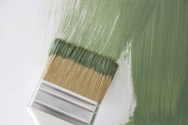 Best Mold Documentation for Insurance Claims  in Fulton, TX