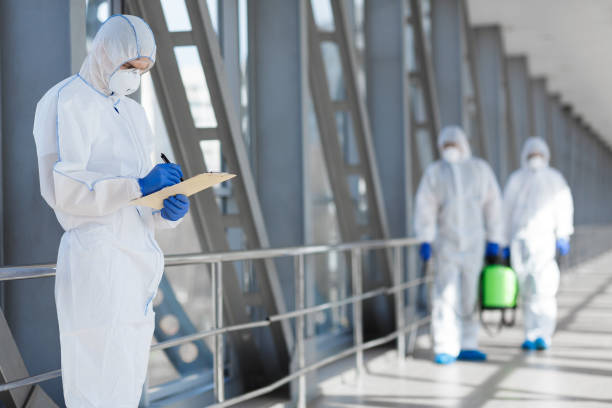 Best Emergency Mold Remediation  in Fulton, TX