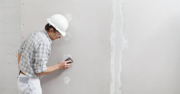 Best Basement Mold Removal  in Fulton, TX